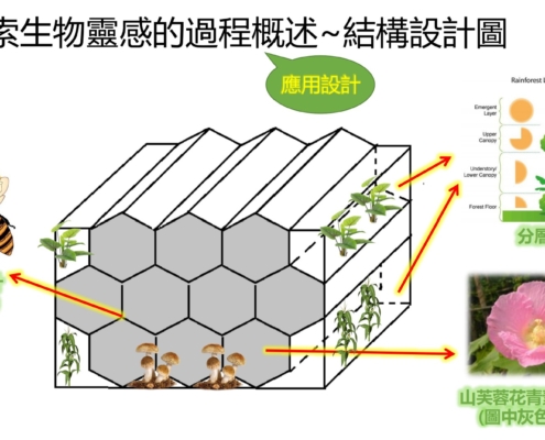 生態自給式建築