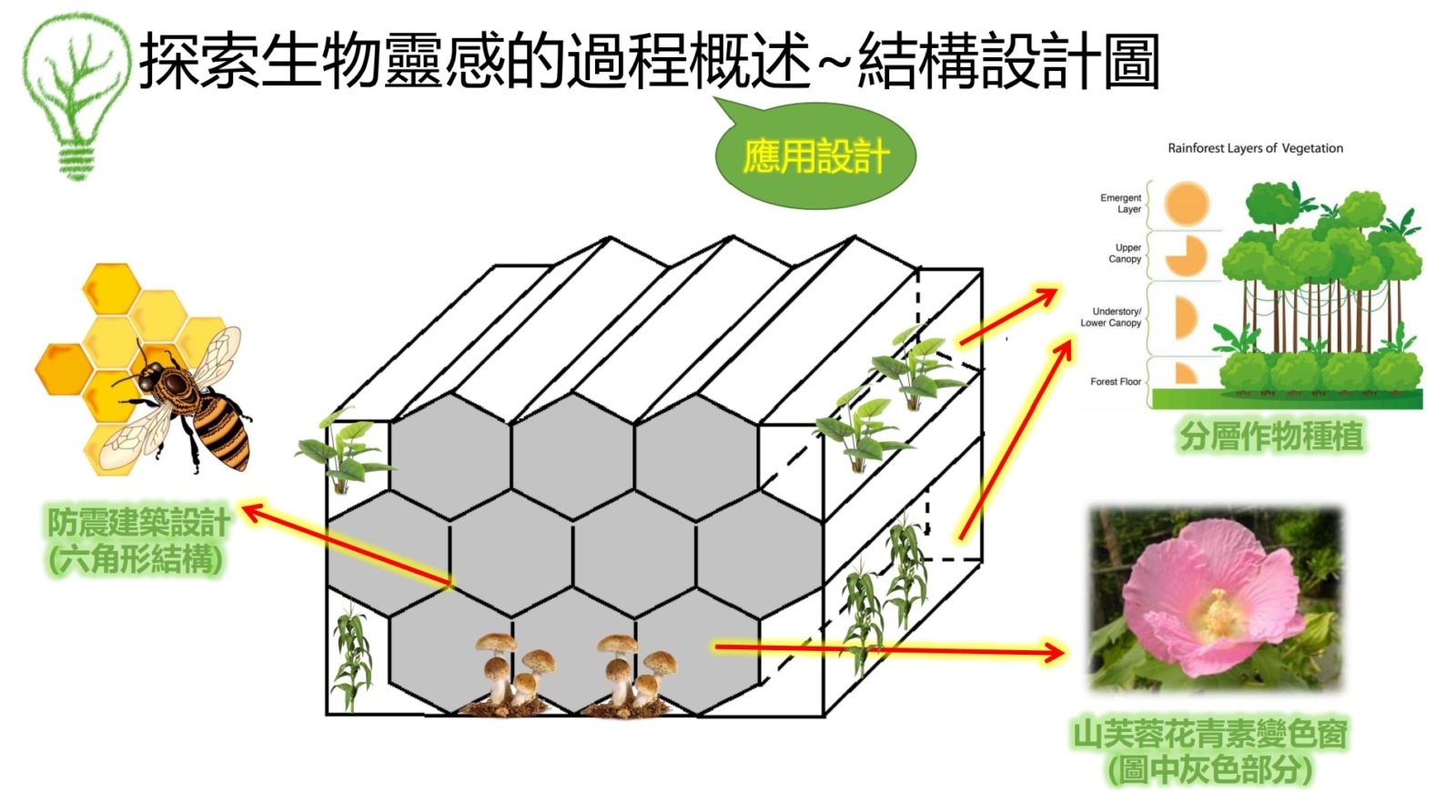 生態自給式建築